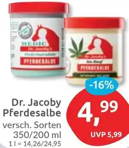 Budni Dr. Jacoby Pferdesalbe Angebot