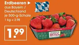 V Markt Erdbeer boss erdbeeren Angebot