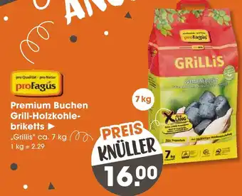 V Markt Profagus premium buchen grill-holzkohle-briketts Angebot