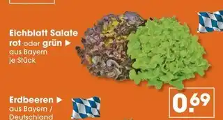V Markt Eichblatt salate rot Angebot