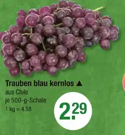 V Markt Trauben blau kernlos Angebot