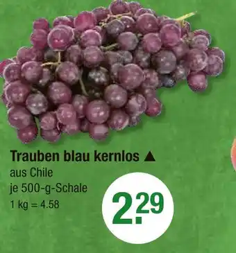 V Markt Trauben blau kernlos Angebot