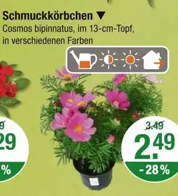 V Markt Schmuckkörbchen Angebot