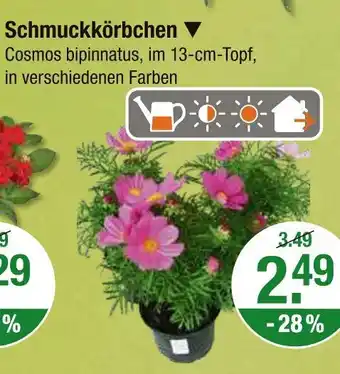 V Markt Schmuckkörbchen Angebot