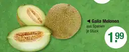 V Markt Galia melonen Angebot