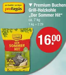 V Markt Profagus premium buchen grill-holzkohle der sommer hit Angebot