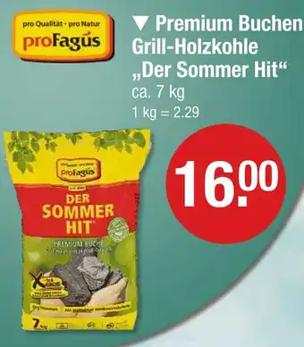 V Markt Profagus premium buchen grill-holzkohle der sommer hit Angebot