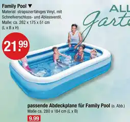 V Markt Family pool Angebot