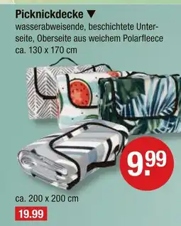 V Markt Picknickdecke Angebot