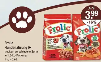 V Markt Frolic hundenahrung Angebot