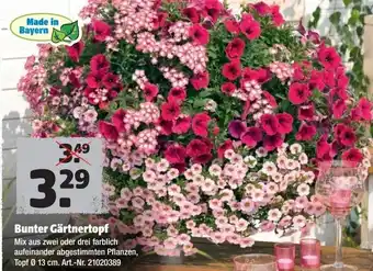 Hagebau Bunter Gärtnertopf Angebot