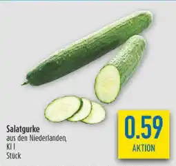 diska Salatgurke Angebot