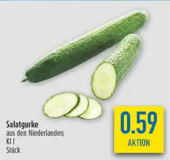 diska Salatgurke Angebot