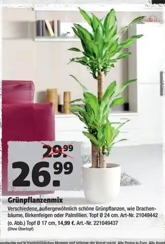 Hagebau Grünpflanzenmix Angebot