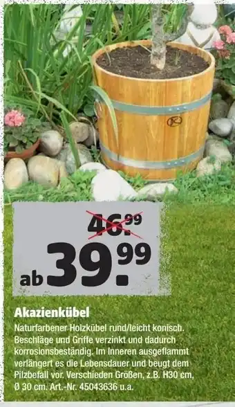 Hagebau Akazienkübel Angebot