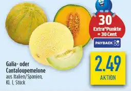 diska Galia- oder Cantaloupemelone Angebot