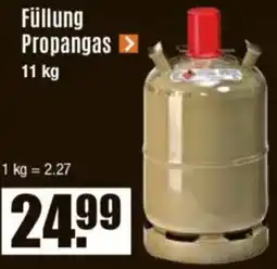 V Baumarkt Füllung Propangas Angebot