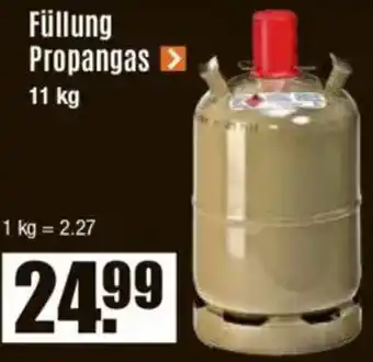 V Baumarkt Füllung Propangas Angebot