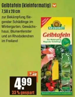 V Baumarkt NEUDORFF Gelbtafeln (kleinformatig) Angebot