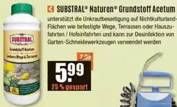 V Baumarkt SUBSTRAL Naturen Grundstoff Acetum Angebot