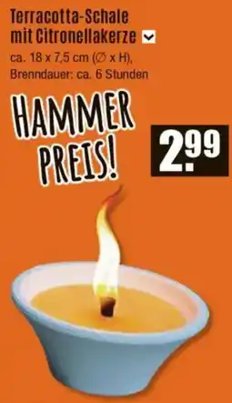 V Baumarkt Terracotta-Schale mit Citronellakerze Angebot