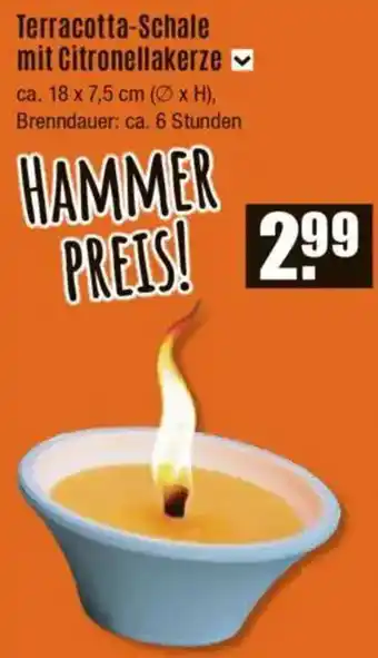 V Baumarkt Terracotta-Schale mit Citronellakerze Angebot