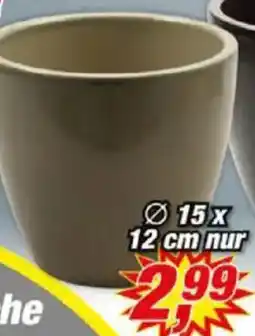 Posten Börse Blumentopf „Sven" Angebot