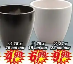 Posten Börse Blumentopf „Sven" Angebot