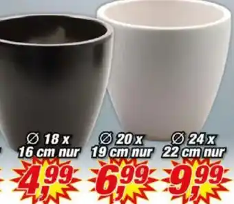 Posten Börse Blumentopf „Sven" Angebot