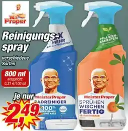 Posten Börse Mr Proper Reinigungsspray Angebot