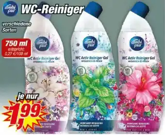Posten Börse ambi pur WC-Reiniger Angebot