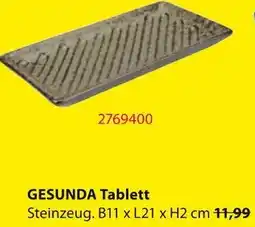 Jysk GESUNDA Tablett Angebot