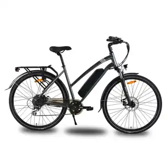 Netto Marken-Discount Vecocraft elektro Trekkingbike Athena 13Ah grau Angebot