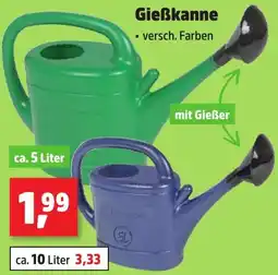 Thomas Philipps Gießkanne Angebot