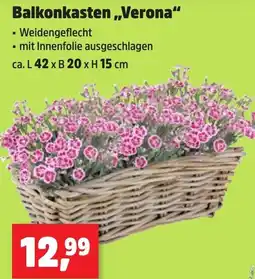 Thomas Philipps Balkonkasten ,,Verona" Angebot