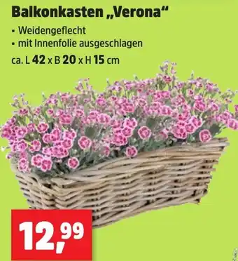 Thomas Philipps Balkonkasten ,,Verona" Angebot
