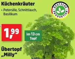 Thomas Philipps Küchenkräuter Angebot
