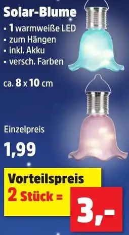 Thomas Philipps Solar-Blume Angebot