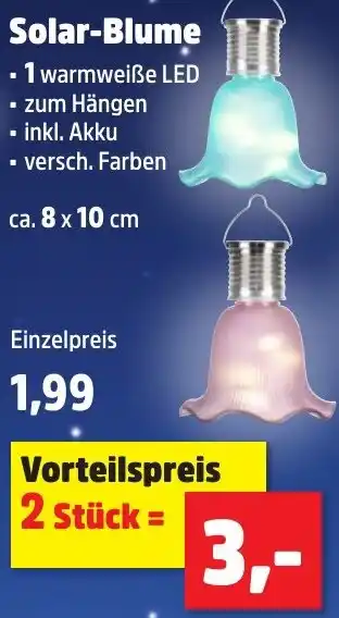 Thomas Philipps Solar-Blume Angebot