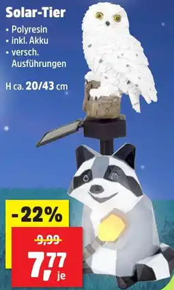 Thomas Philipps Solar-Tier Angebot