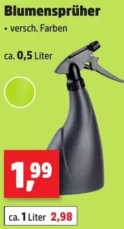 Thomas Philipps Blumensprüher Angebot
