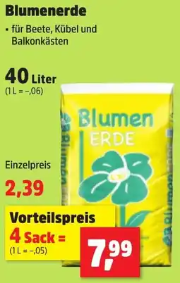 Thomas Philipps Blumenerde Angebot