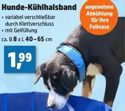 Thomas Philipps Hunde-Kühlhalsband Angebot