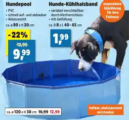 Thomas Philipps Hundepool Angebot