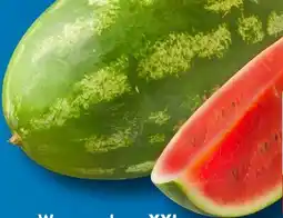 Aldi Süd Wassermelone XXL Angebot