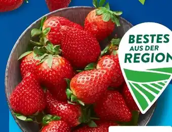 Aldi Süd Bestes aus der Region Erdbeeren Angebot