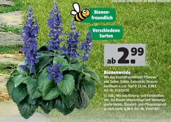 Hagebau Bienenweide Angebot