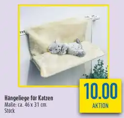 diska Hängeliege für Katzen Angebot