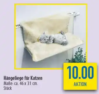diska Hängeliege für Katzen Angebot