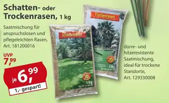 Sonderpreis Baumarkt Schatten- oder Trockenrasen Angebot